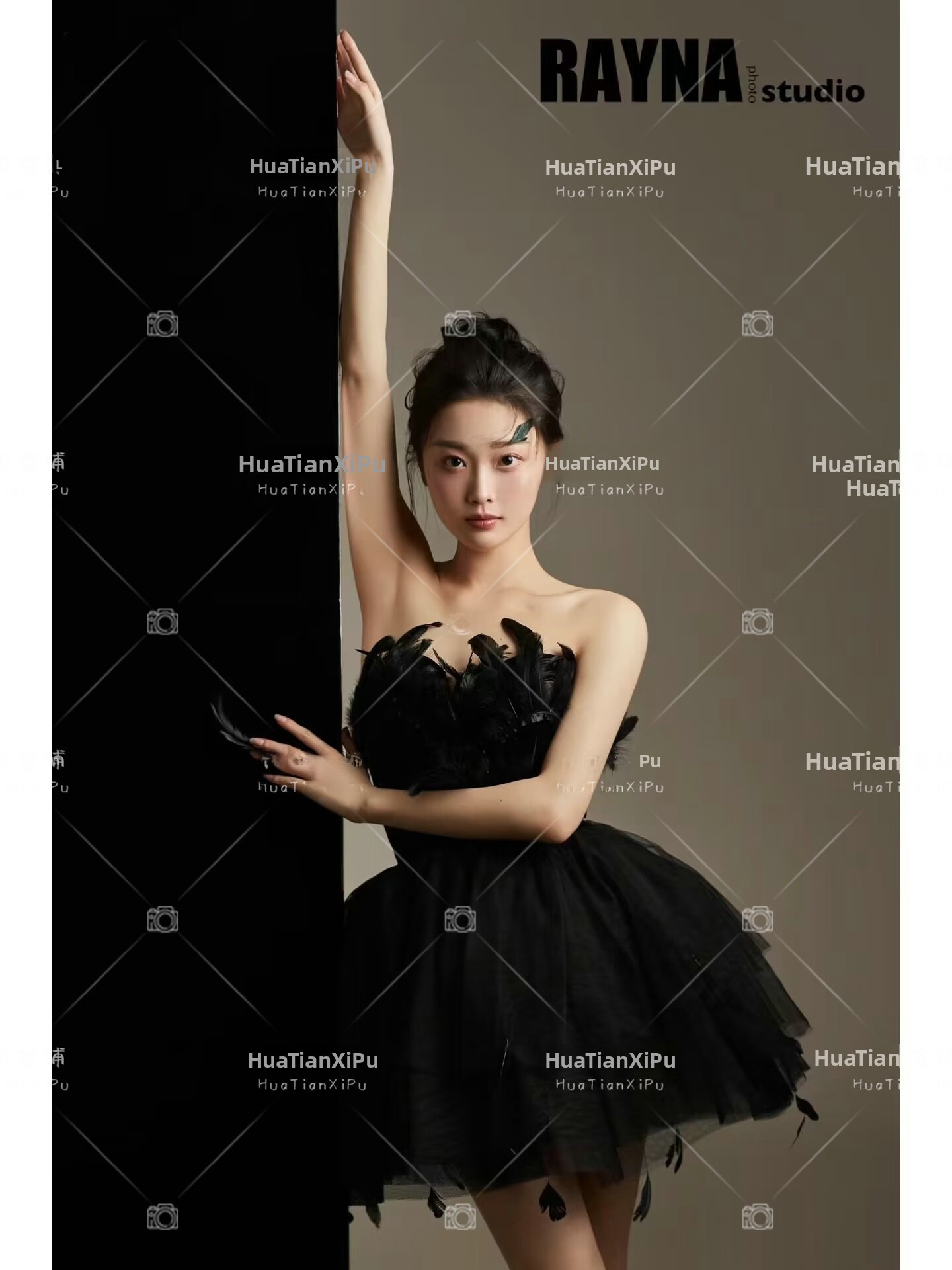 New Arrival Elegant Black Swan - Photography Studio recension och pris