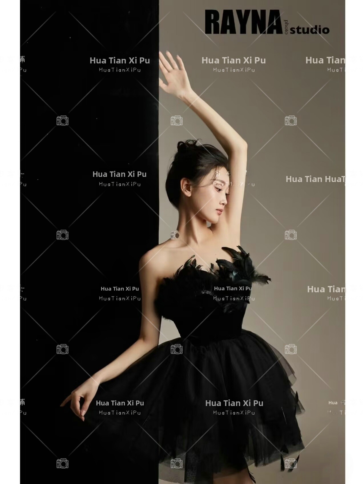 New Arrival Elegant Black Swan - Photography Studio recension och pris